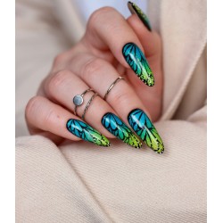 Jelly Base Lime 11 ml PaluCosmetics
