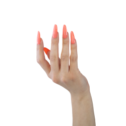 856 UV Nagellack 8 ml Makear