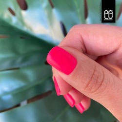NE7 Havana UV Nagellack 11ml PaluCosmetics