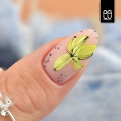 NE4 Havana UV Nagellack 11ml PaluCosmetics