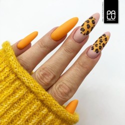T5 Fall in Toronto UV Nagellack 11ml PaluCosmetics