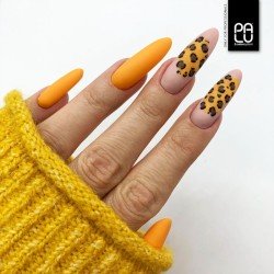 T5 Fall in Toronto UV Nagellack 11ml PaluCosmetics
