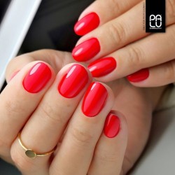 AM4 Amsterdam UV Nagellack 11ml PaluCosmetics